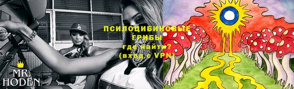спиды Абдулино